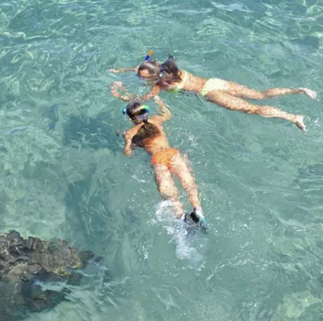 Snorkelling Trip in Dibba Al Fujairah (Morning or Afternoon), photo 4