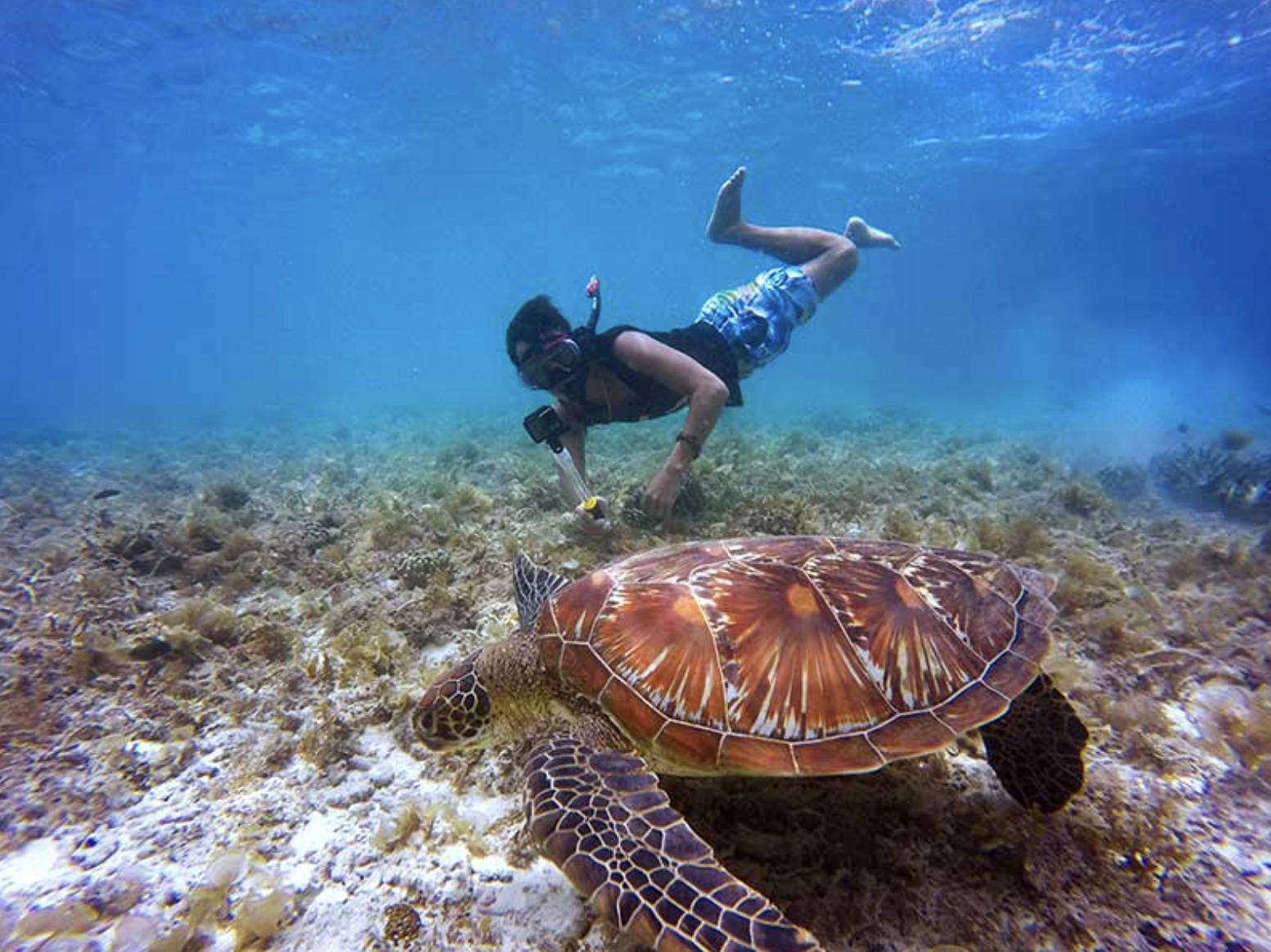 Snorkelling Trip in Dibba Al Fujairah (Morning or Afternoon), photo 3