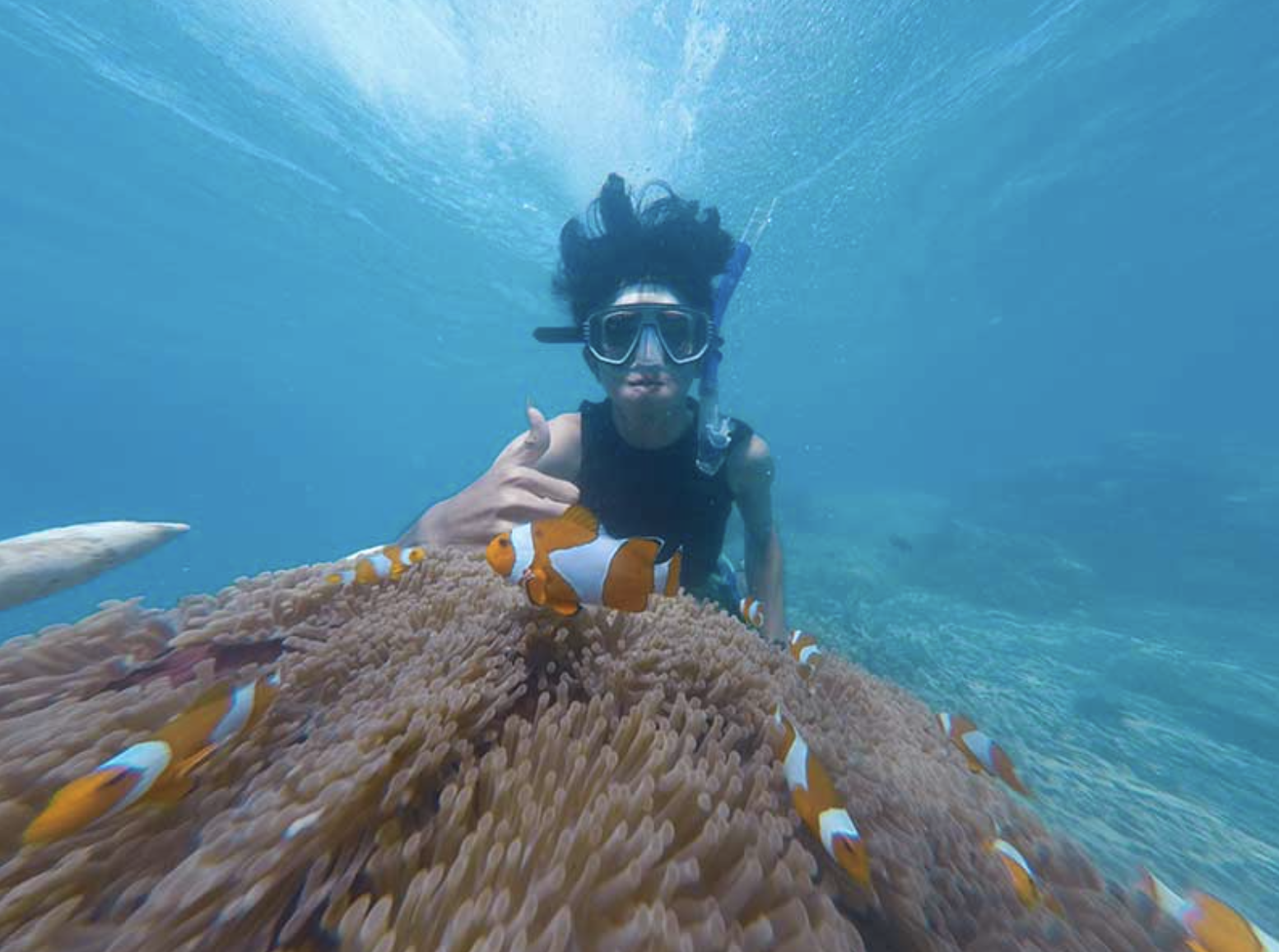 Snorkelling Trip in Dibba Al Fujairah (Morning or Afternoon), photo 2