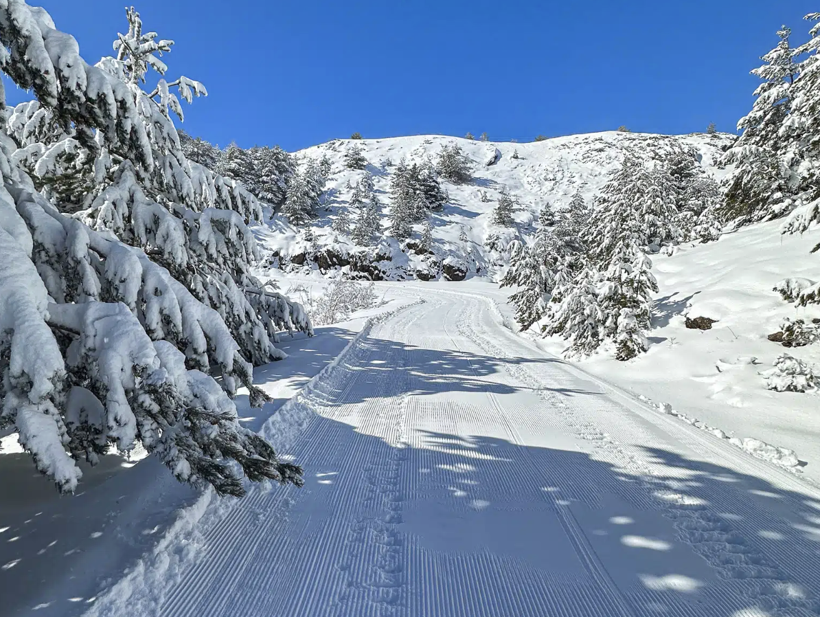 1.5-Hour Guided Snowmobile Circuit to the Rinconada de Piedrafita, photo 4