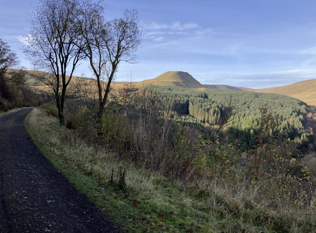 Day 3: High Gravel Descent 🌄 1