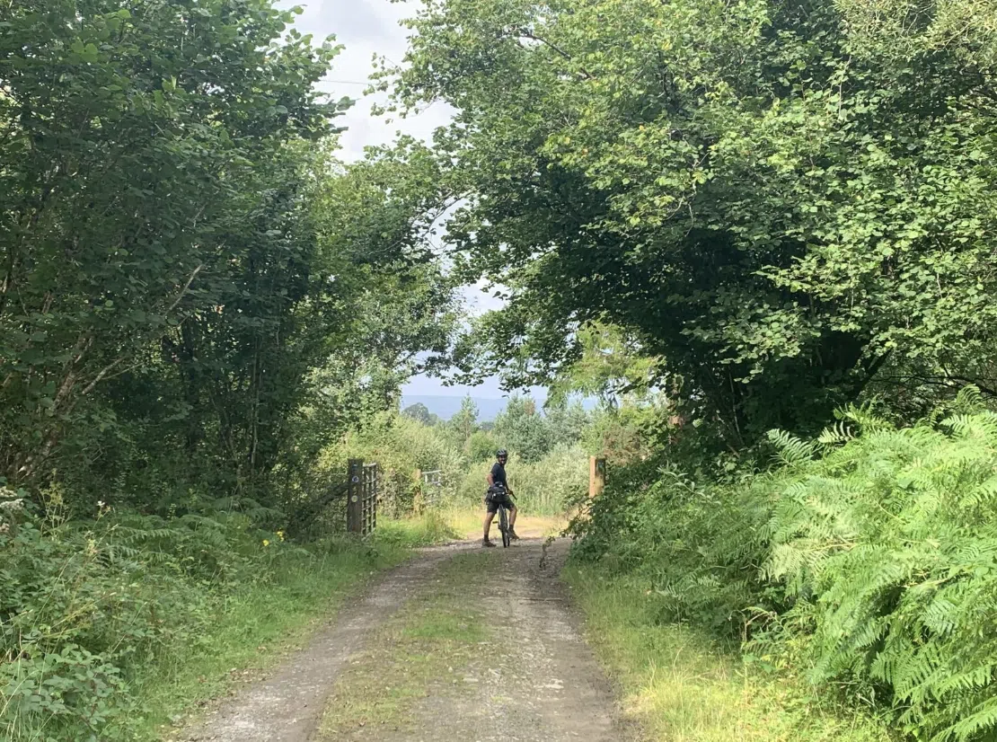 Tywi & Cothi Loop Bikepacking Adventure, photo 4