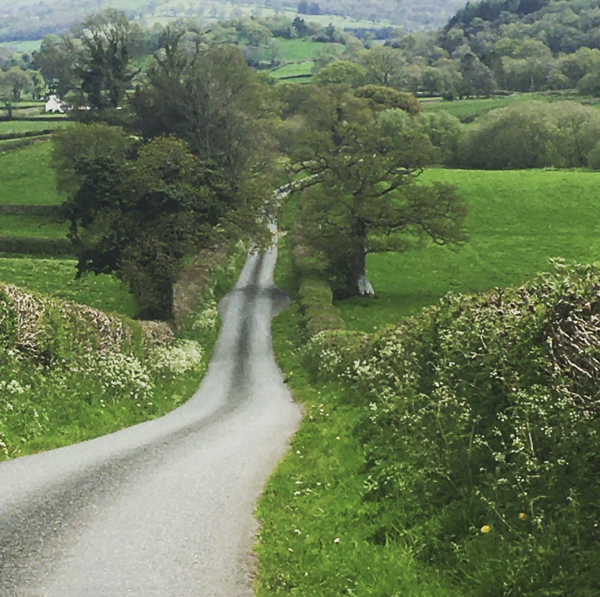 Day 1: The Tywi Valley 🌿 1
