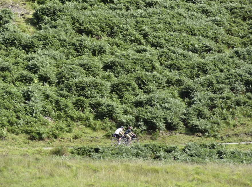 South Cambrians Bikepacking Adventure, photo 4