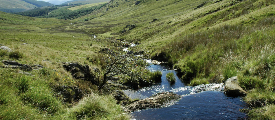 South Cambrians Bikepacking Adventure, photo 5