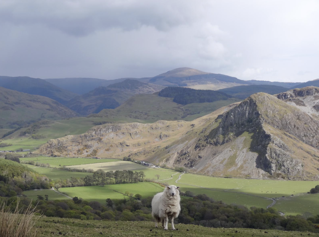 Tour of Cadair Idris Bikepacking Adventure gallery 4