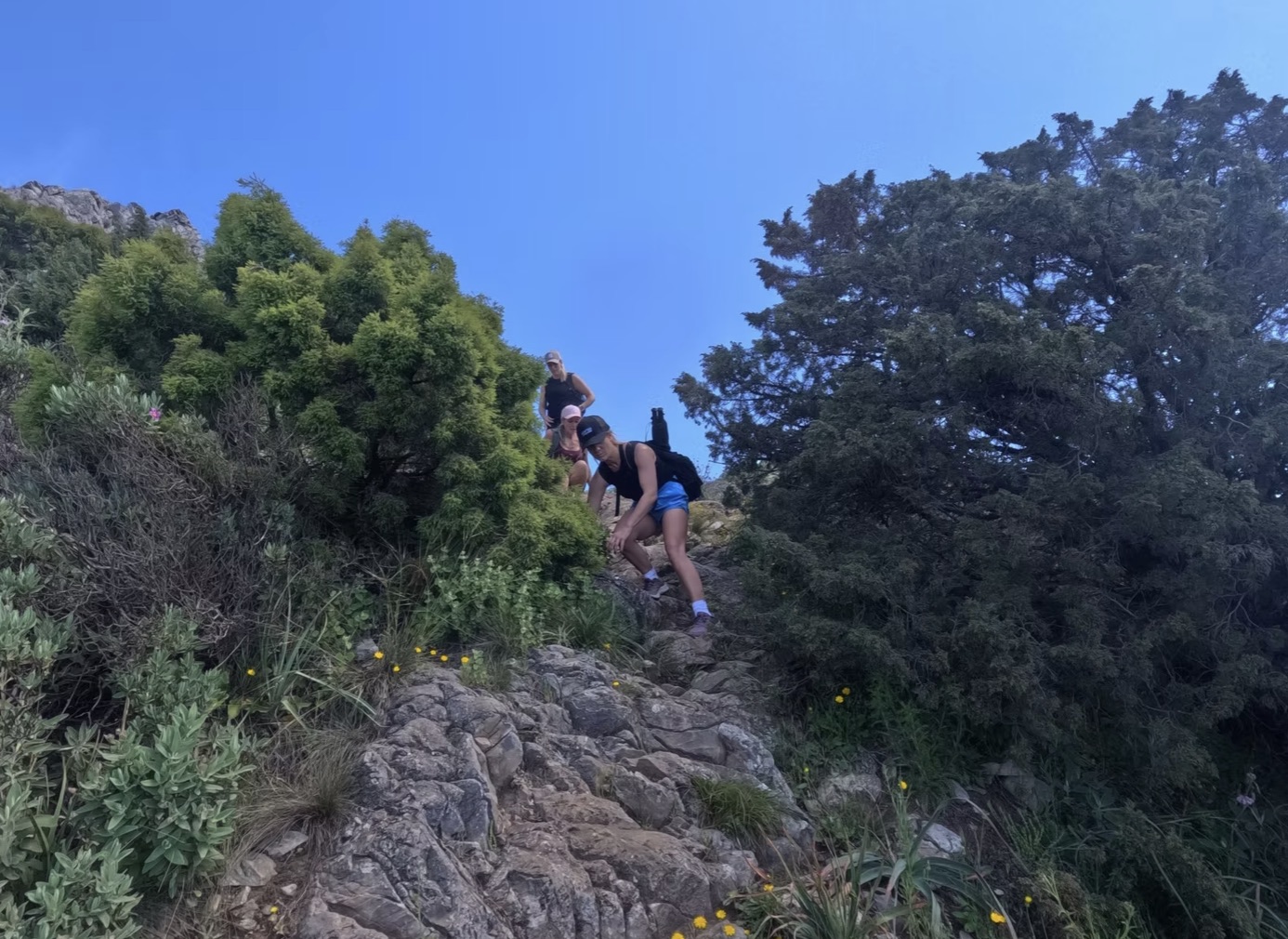 La Concha Summit Private Hike from Marbella gallery 10
