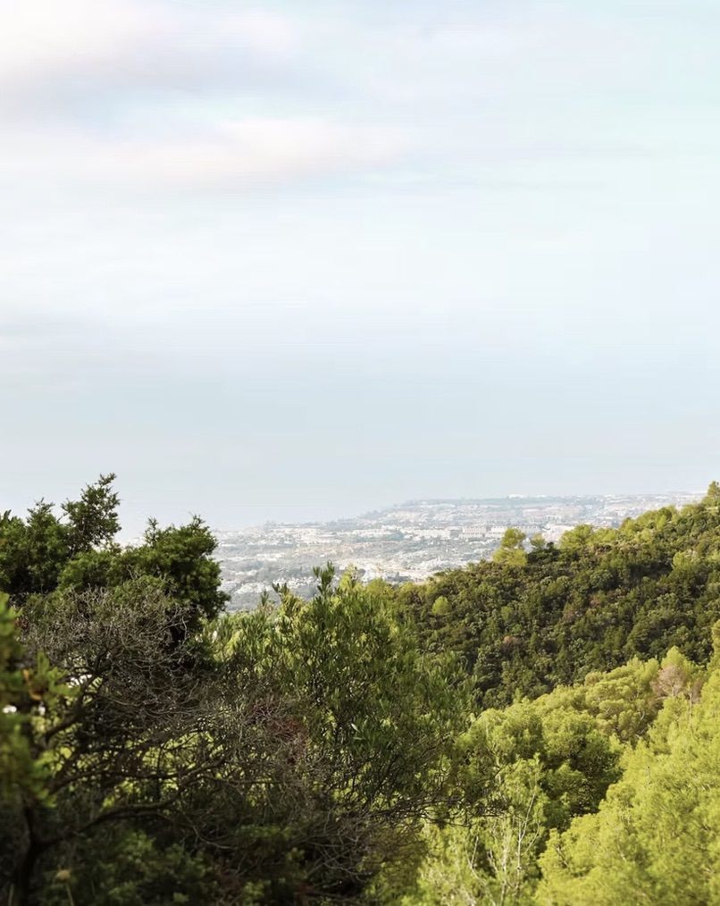 The Monks Trail: Guided Hike in Marbella’s Mountains, photo 4