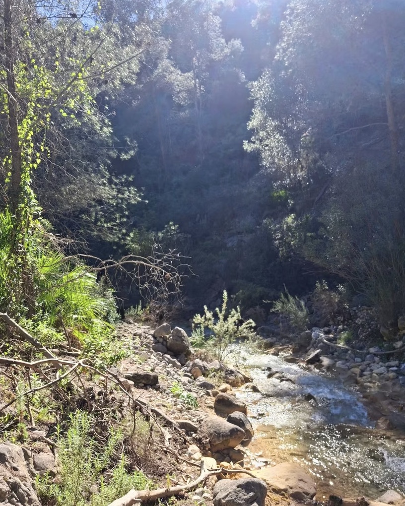 The Monks Trail: Guided Hike in Marbella’s Mountains gallery 2