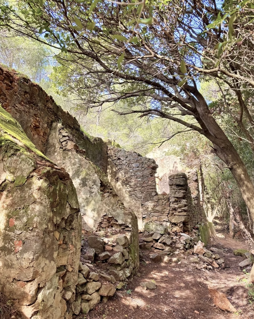 The Monks Trail: Guided Hike in Marbella’s Mountains gallery 4