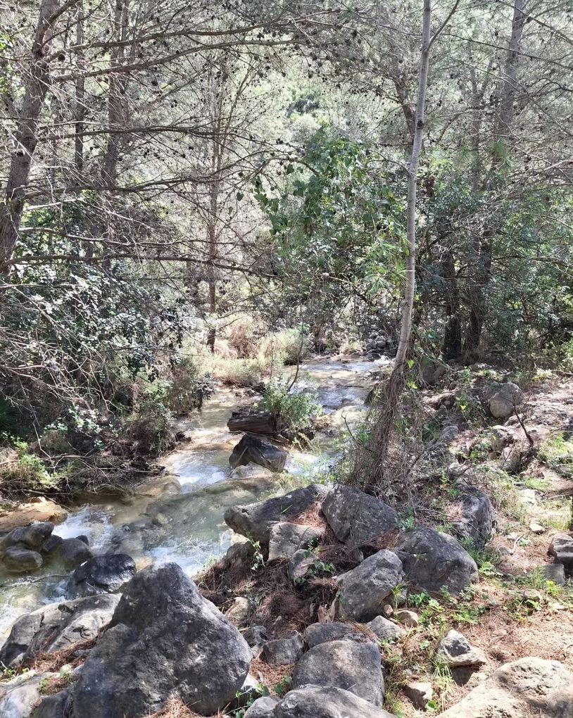The Monks Trail: Guided Hike in Marbella’s Mountains gallery 7