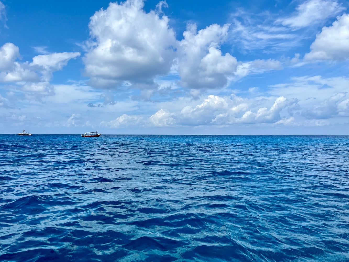 Mexico Dive Week: Cenotes, Reef & Bull Sharks in Tulum gallery 8
