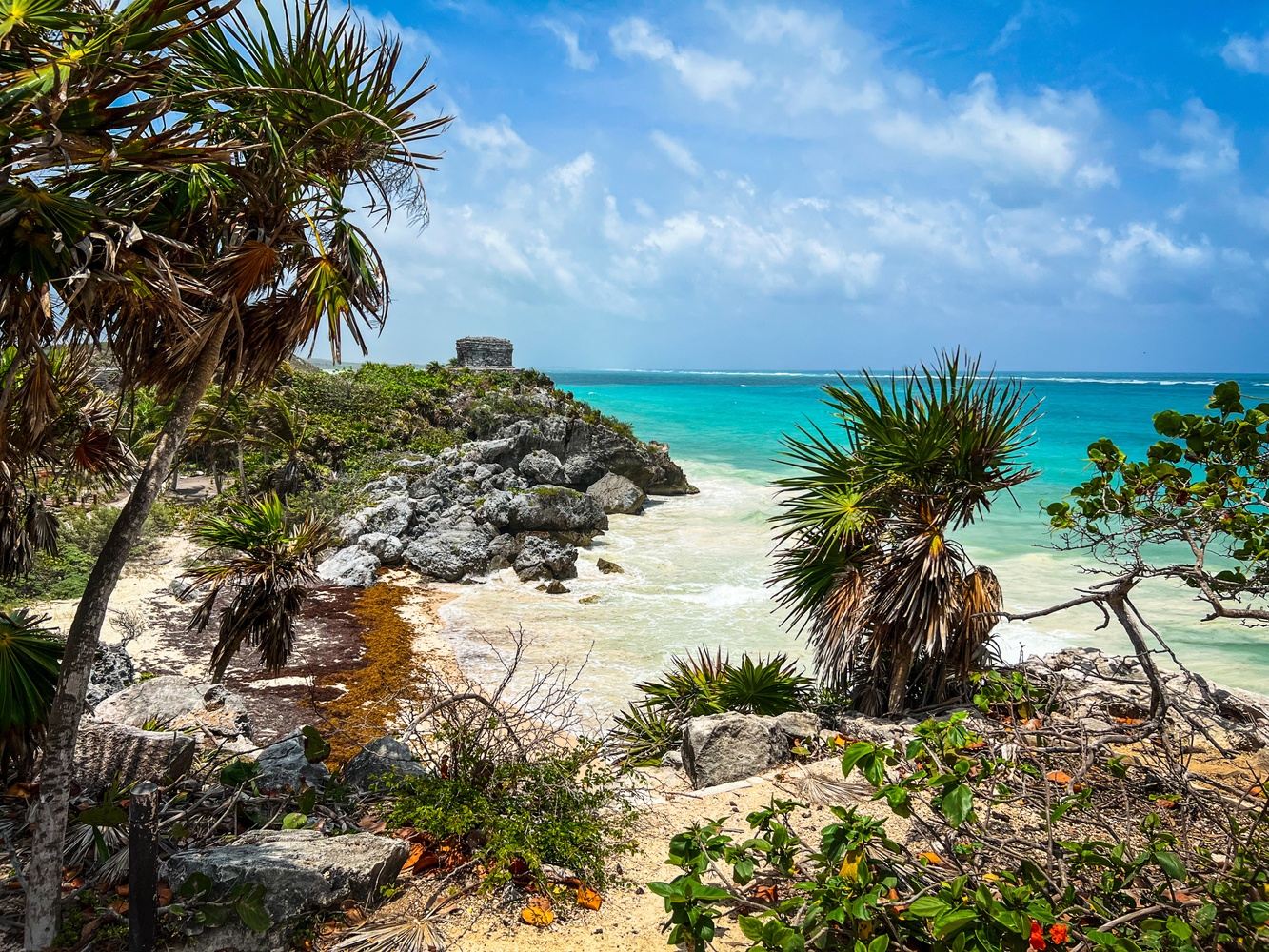 Mexico Dive Week: Cenotes, Reef & Bull Sharks in Tulum gallery 7