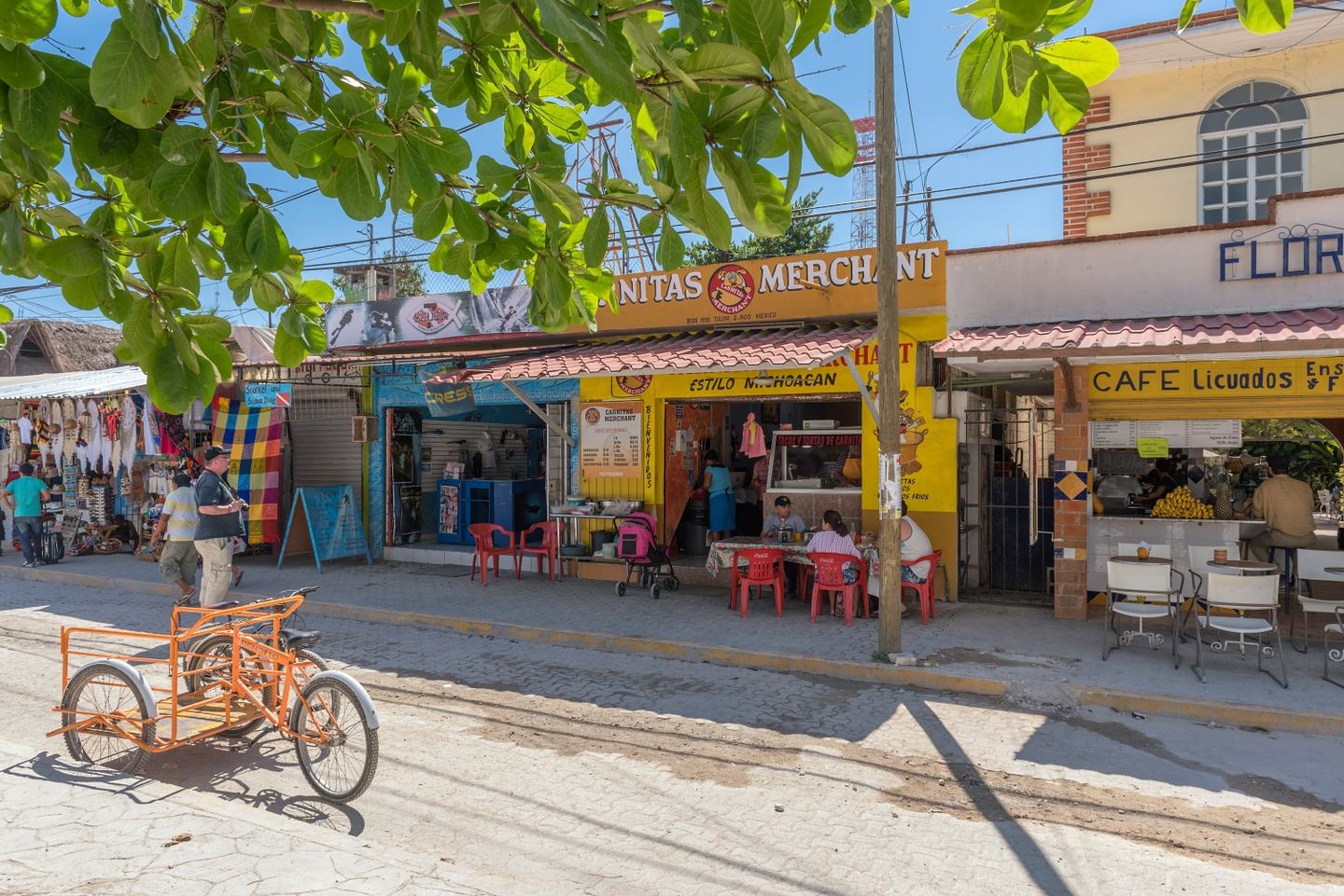 Mexico Dive Week: Cenotes, Reef & Bull Sharks in Tulum gallery 10