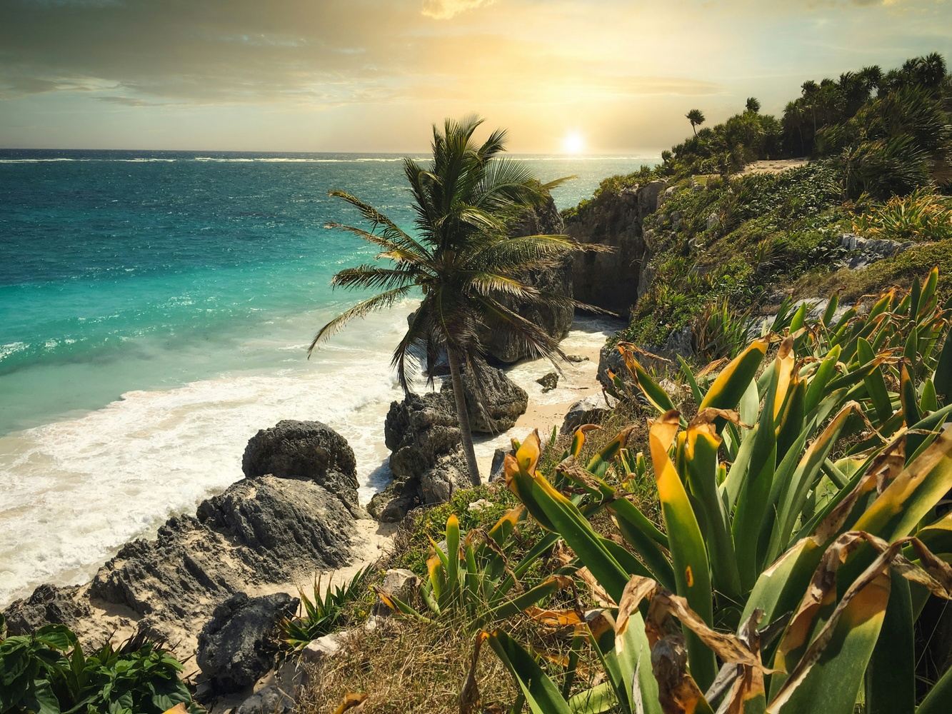 Mexico Dive Week: Cenotes, Reef & Bull Sharks in Tulum, photo 4