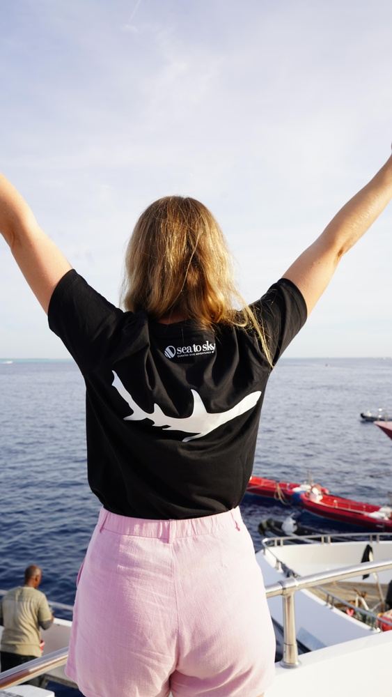 Egypt Liveaboard: BDE ‘Golden Triangle’ Red Sea Dive Trip gallery 5