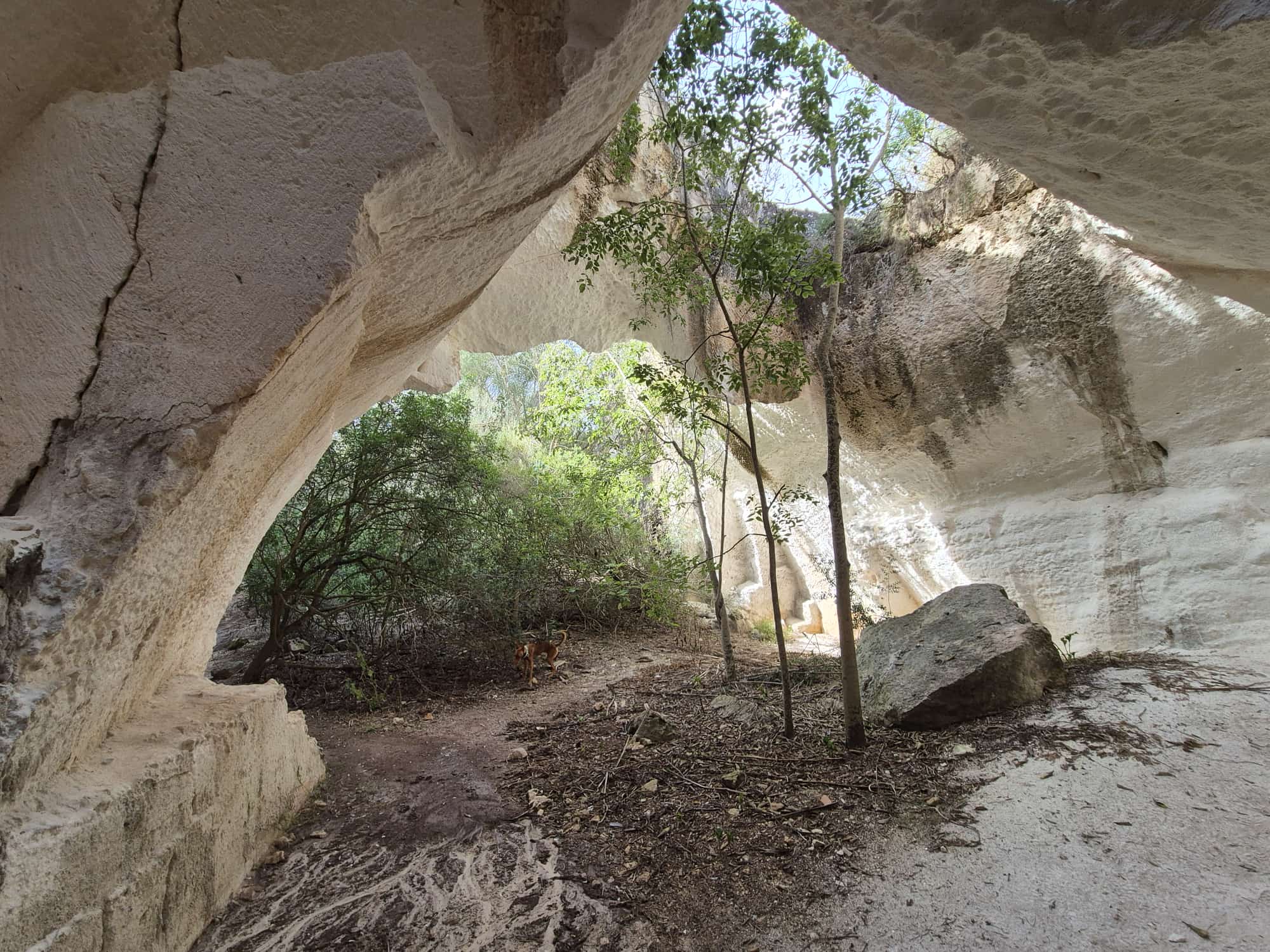 Hidden Marés Quarry & Caves Trek in Felanitx – 3-Hour Guided Walk, photo 4