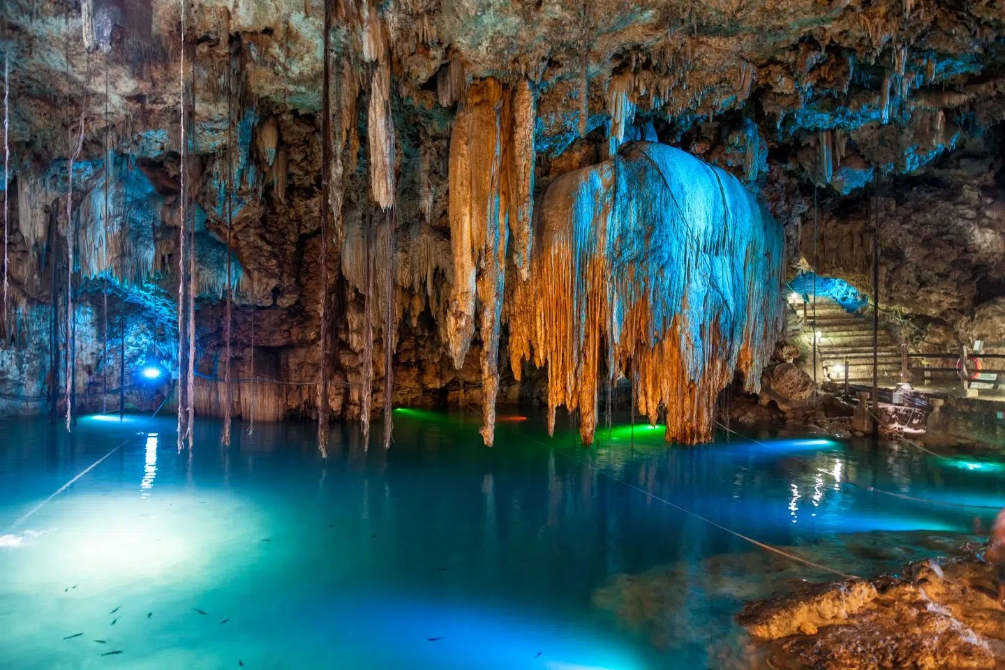 Mexico Dive Week: Cenotes, Reef & Bull Sharks in Tulum, photo 2