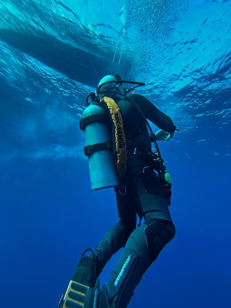 Egypt Liveaboard: BDE ‘Golden Triangle’ Red Sea Dive Trip gallery 7