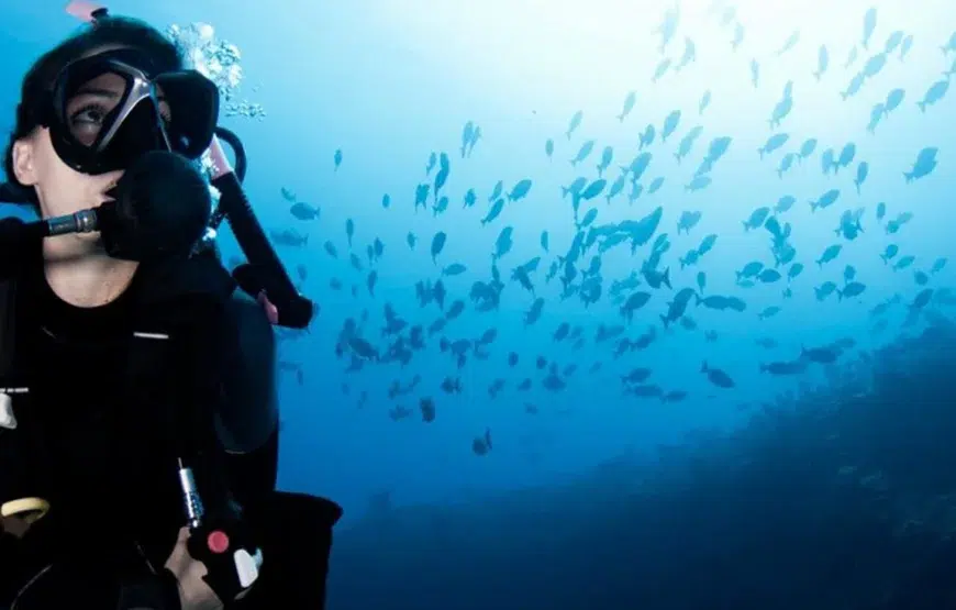 Red Sea Island Taster Dive & Snorkelling Day Trip from Hurghada, photo 5