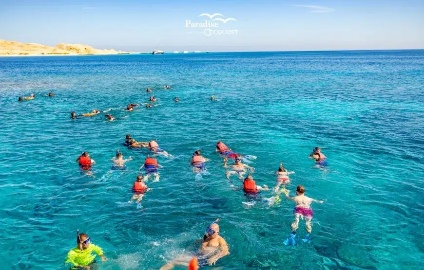 Beginner Red Sea Snorkelling Day Trip from Hurghada gallery 2