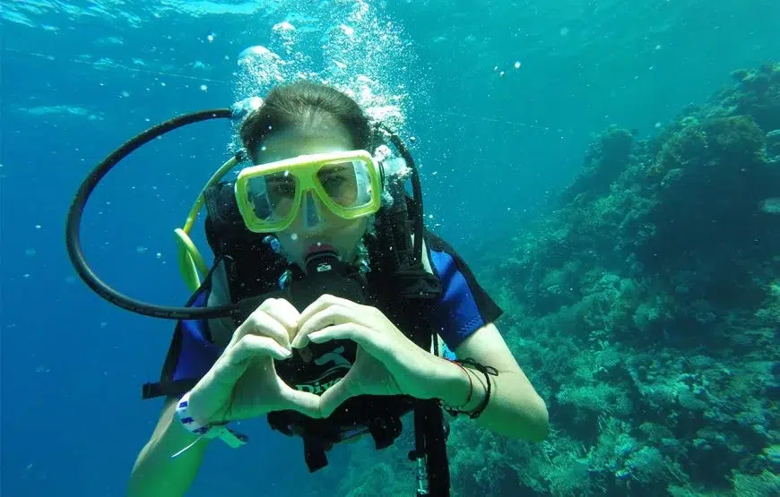 Red Sea Island Taster Dive & Snorkelling Day Trip from Hurghada gallery 2
