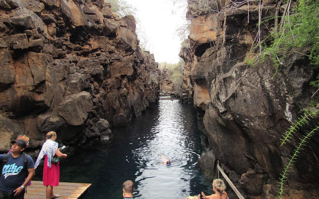 Galapagos Islands: 6-Day Scuba Diving, Snorkelling & Island Exploration Tour gallery 3
