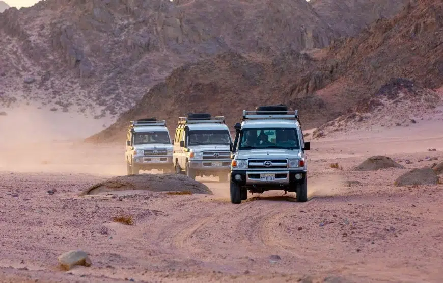 Hurghada Desert Quad Safari with Bedouin Village & Camel Ride, photo 3