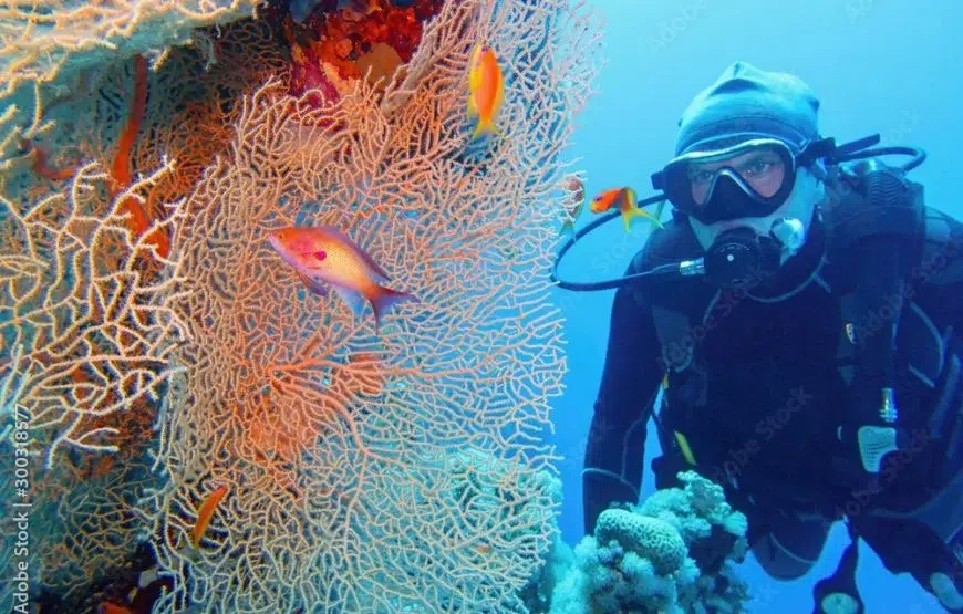 Red Sea Island Taster Dive & Snorkelling Day Trip from Hurghada, photo 4