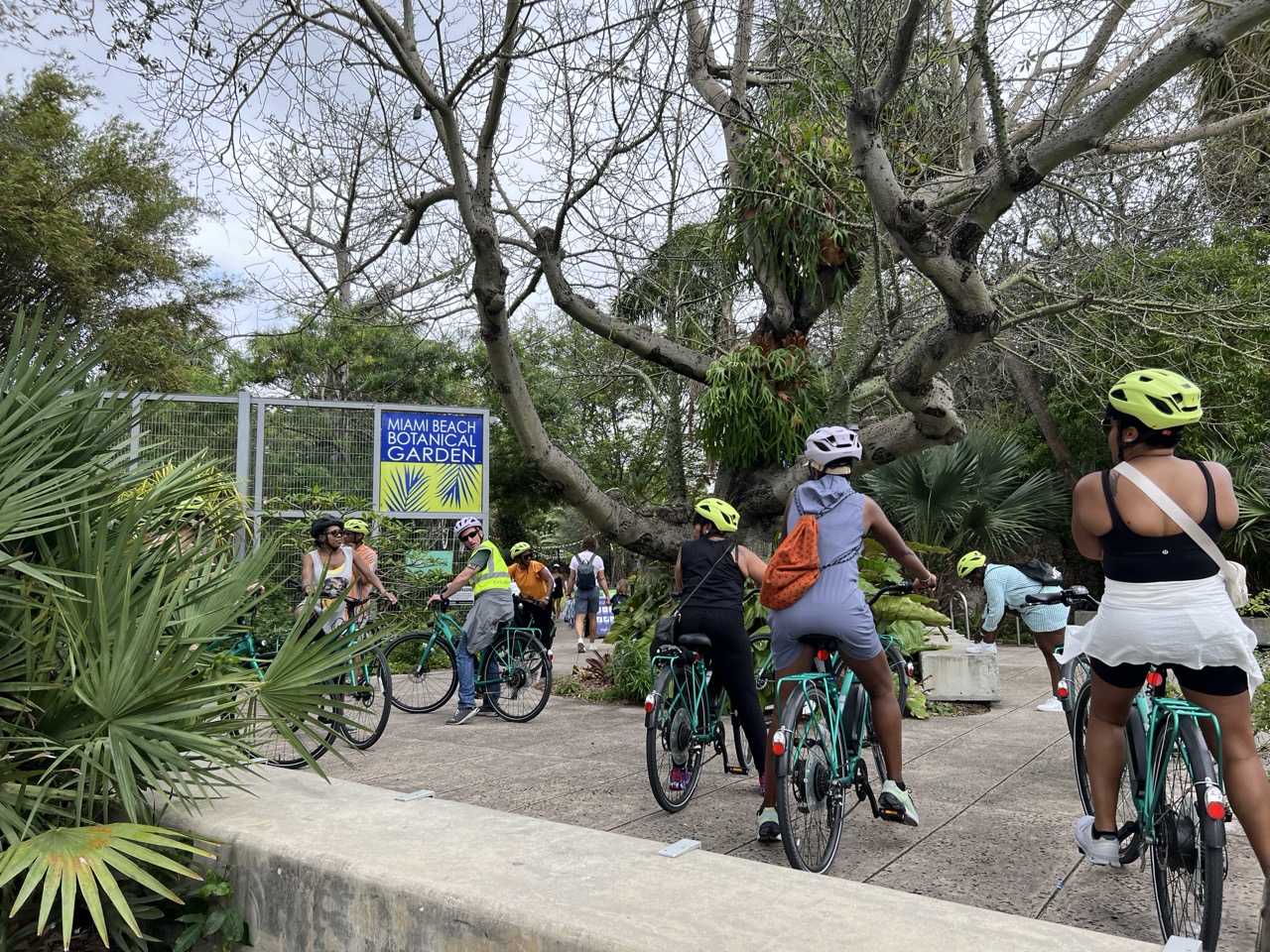 Best of Miami Beach Guided eBike Tour, photo 3