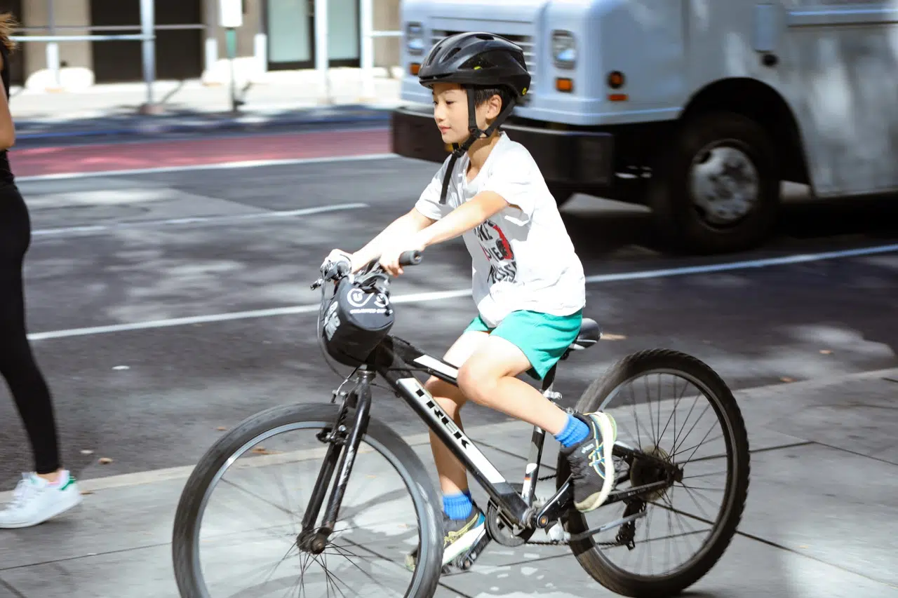 Brooklyn Bridge Bike Rentals (2h, 4h or Full Day) gallery 3