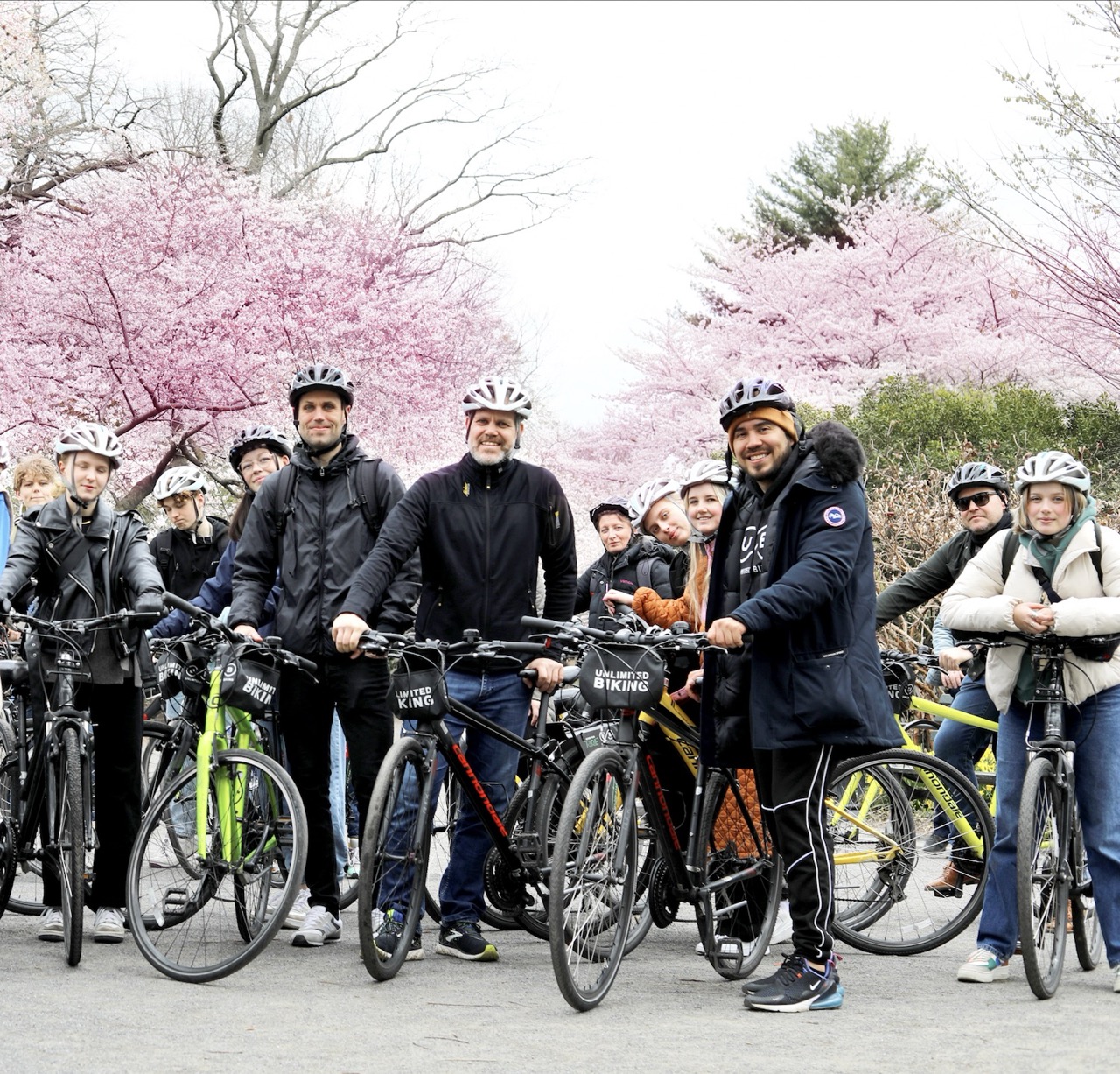 Cherry Blossoms Guided Bike Tour – Tidal Basin & Potomac, photo 5