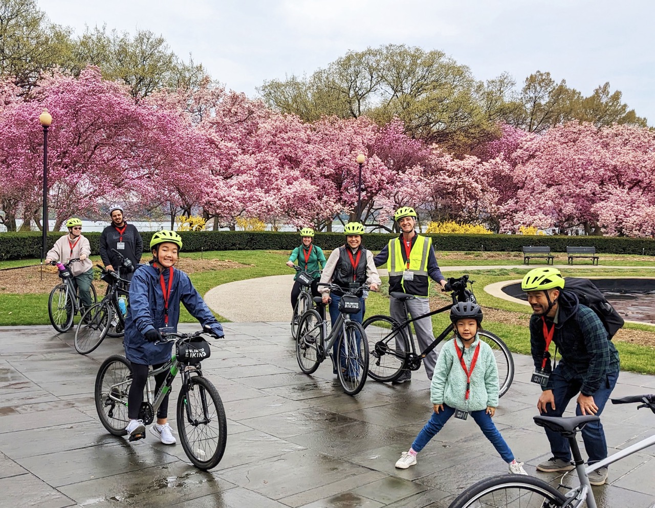 Cherry Blossoms Guided Bike Tour – Tidal Basin & Potomac, photo 3