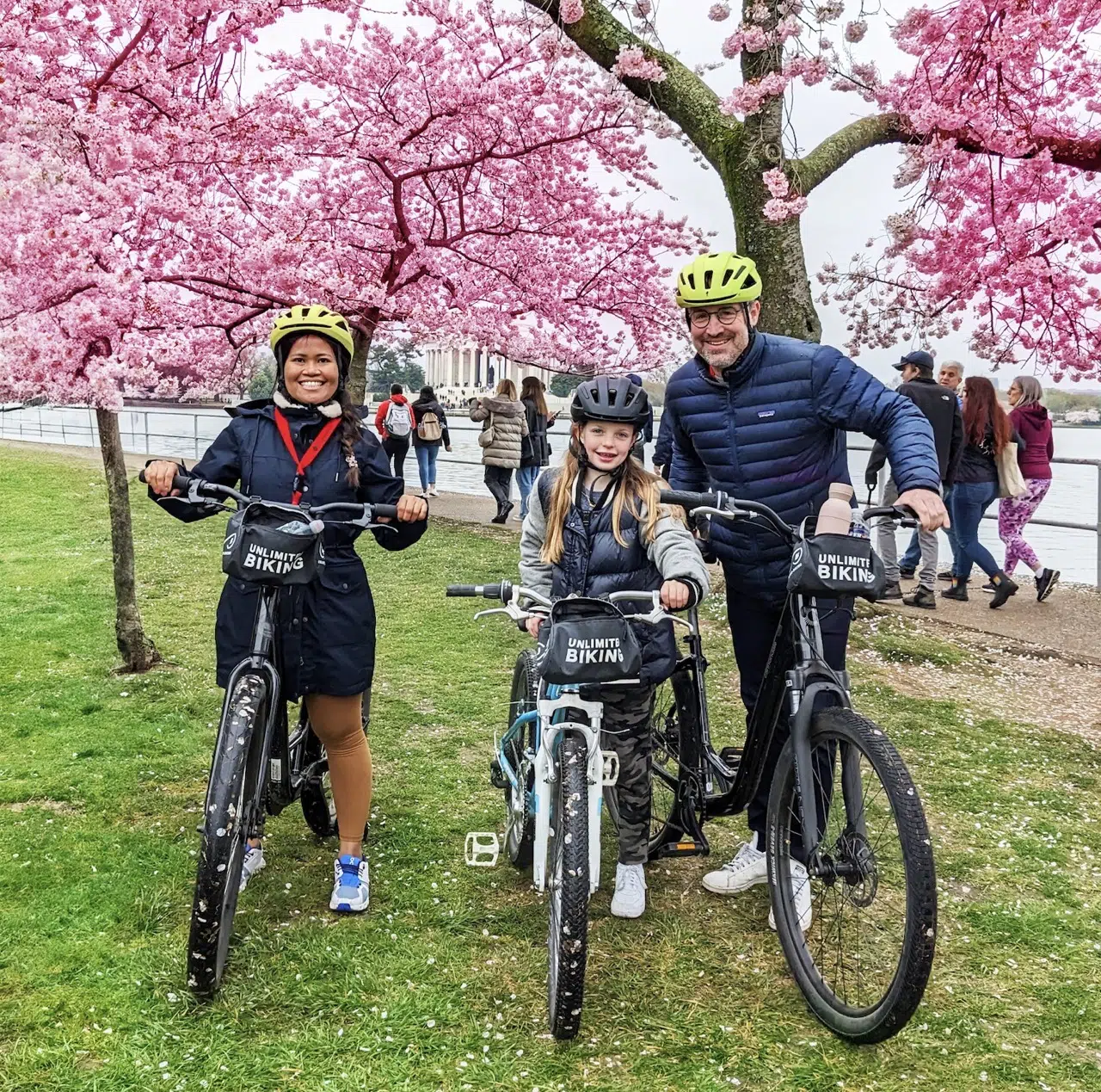 Cherry Blossoms Guided Bike Tour – Tidal Basin & Potomac, photo 2