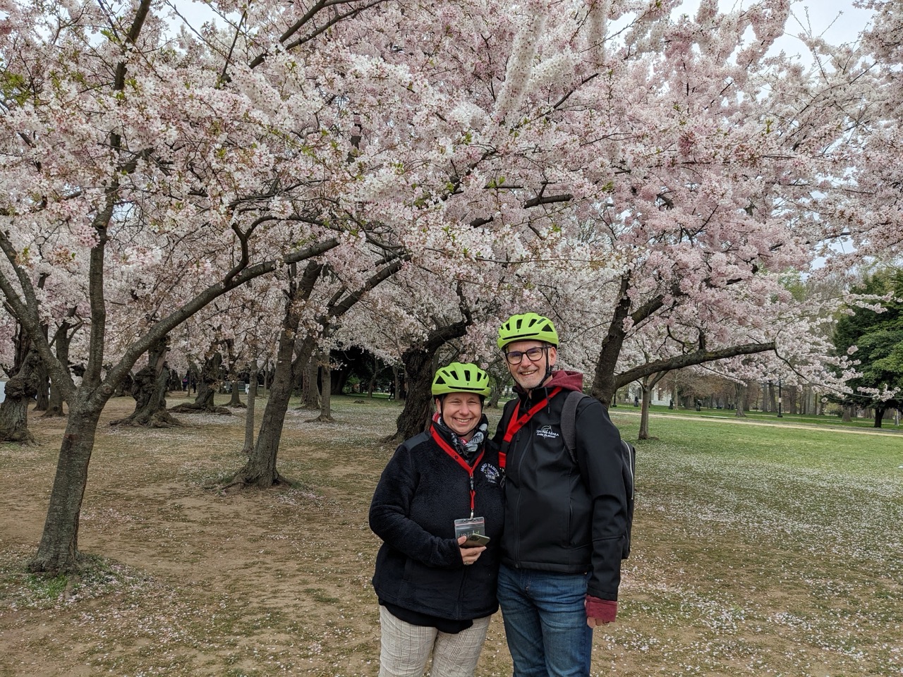 Cherry Blossoms Guided Bike Tour – Tidal Basin & Potomac gallery 4