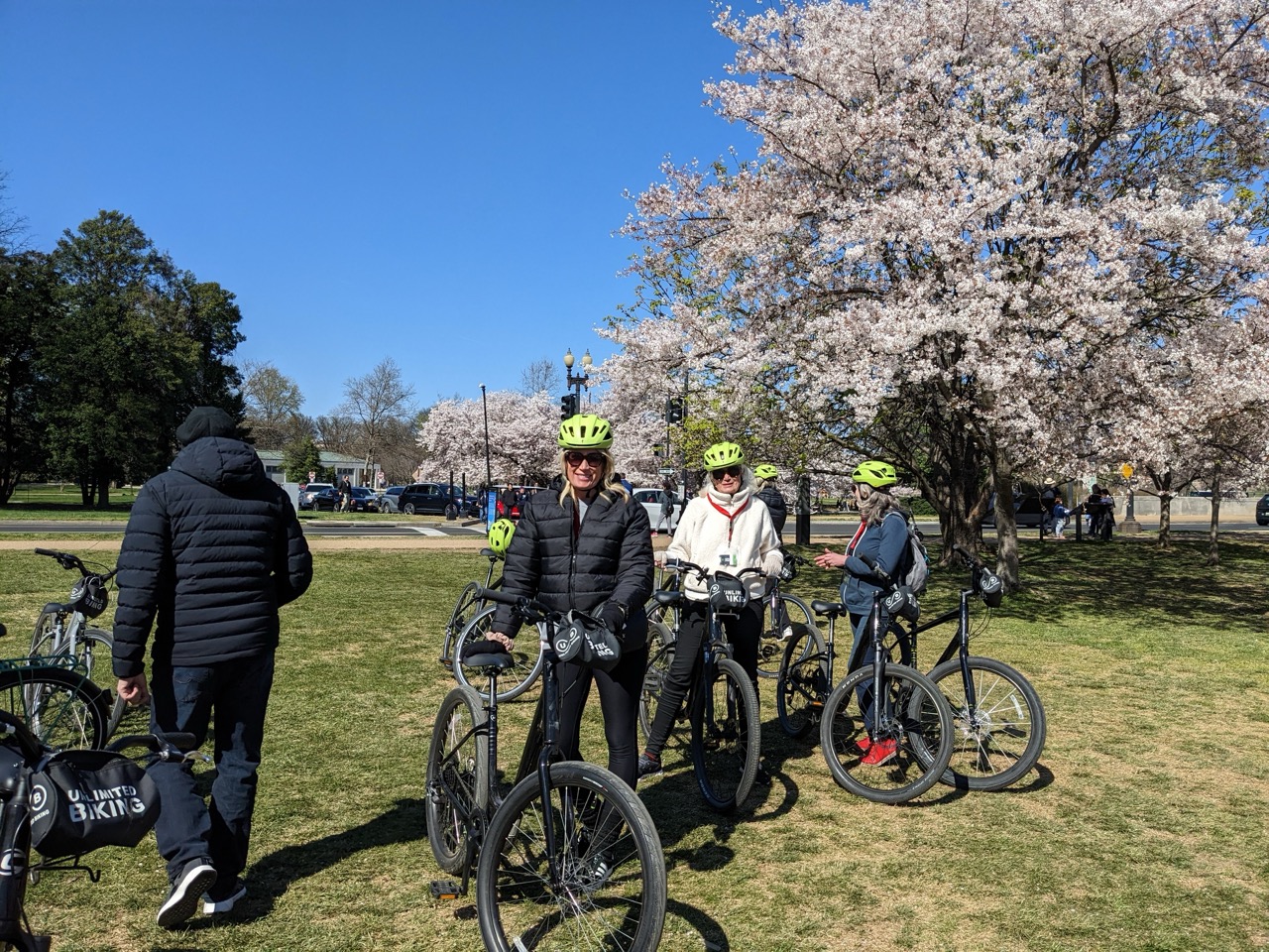 Cherry Blossoms Guided Bike Tour – Tidal Basin & Potomac gallery 5