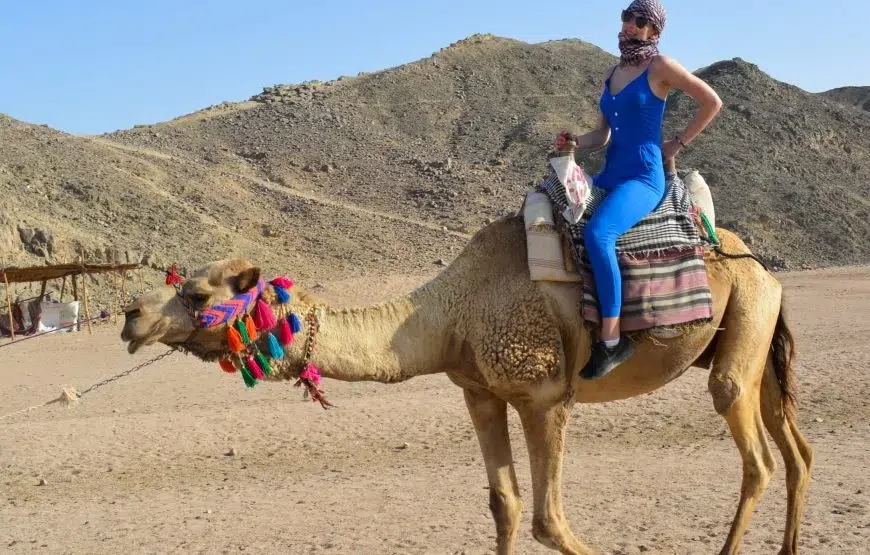 Hurghada Desert Quad Safari with Bedouin Village & Camel Ride gallery 7