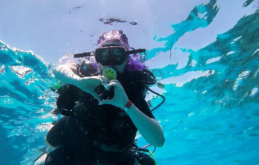 Red Sea Island Taster Dive & Snorkelling Day Trip from Hurghada, photo 2