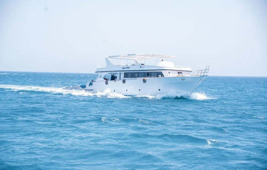 Beginner Red Sea Snorkelling Day Trip from Hurghada gallery 3