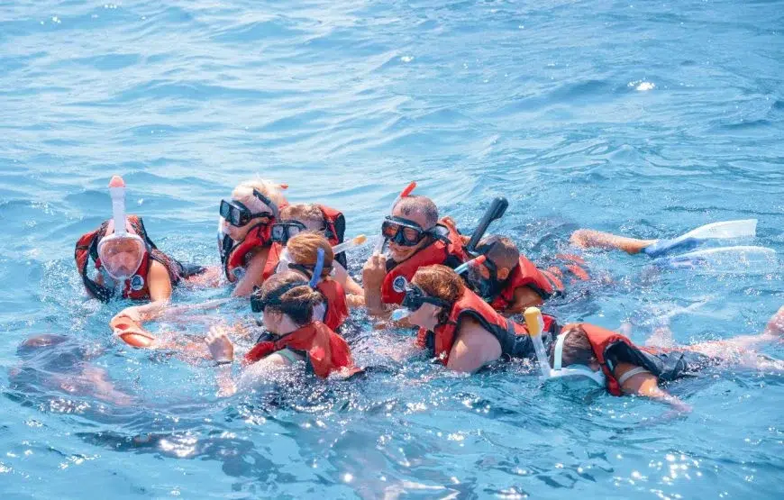 Beginner Red Sea Snorkelling Day Trip from Hurghada gallery 4
