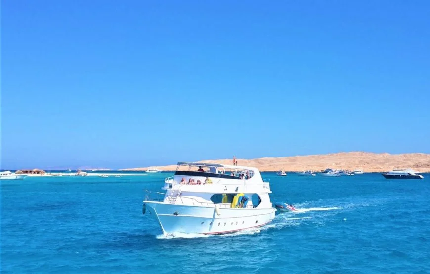 Red Sea Island Taster Dive & Snorkelling Day Trip from Hurghada gallery 6
