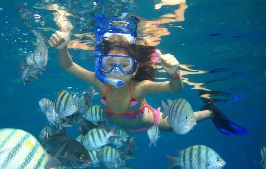 Beginner Red Sea Snorkelling Day Trip from Hurghada gallery 5