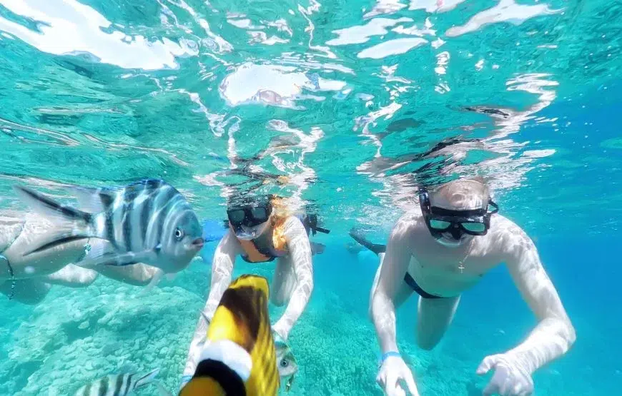 Beginner Red Sea Snorkelling Day Trip from Hurghada gallery 6
