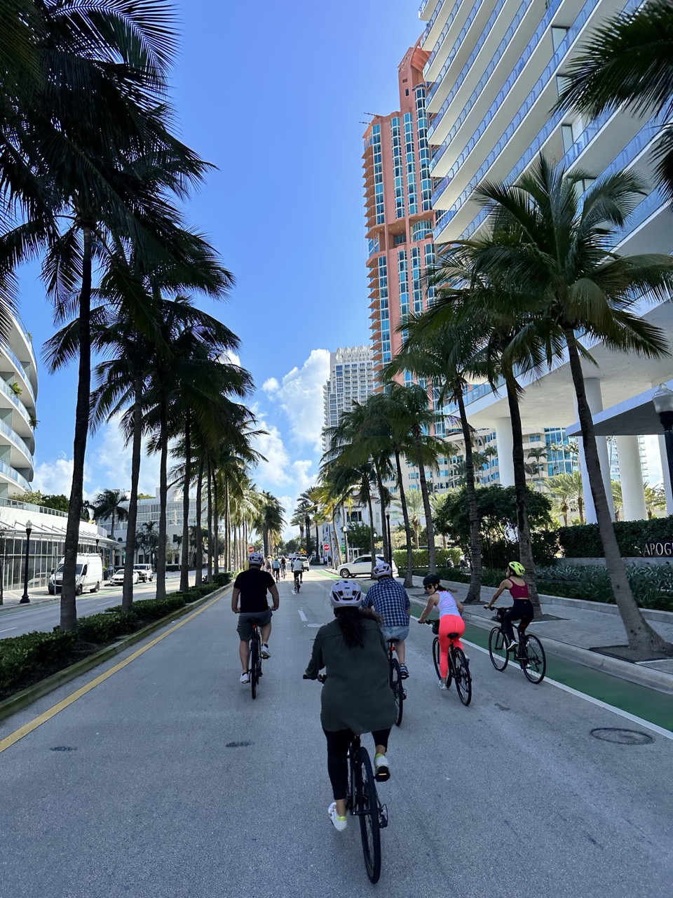 Miami Beach Bike Rentals (2h, 4h or Full Day), photo 5