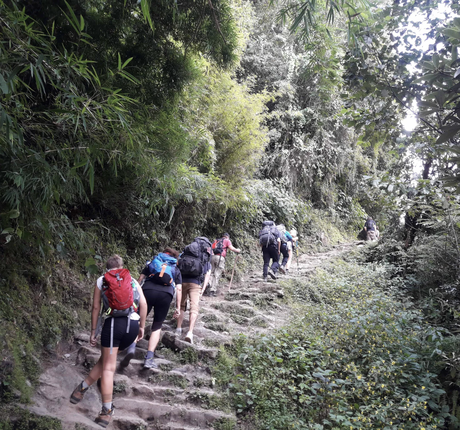 Mardi Himal Trek – 13 Day Annapurna Ridge & Base Camp Route gallery 1