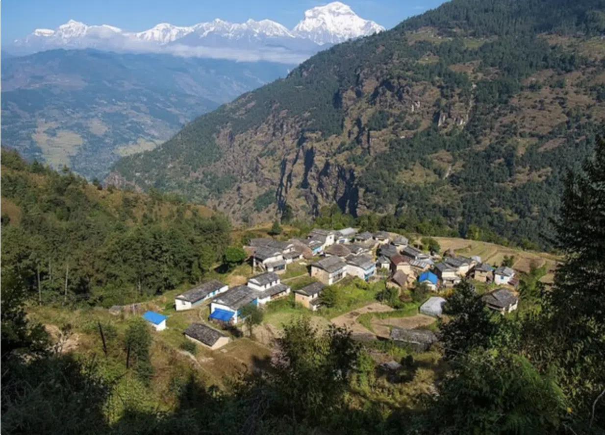 Mohare Danda Community Trek – Eco Lodges & Annapurna Views, listing photo