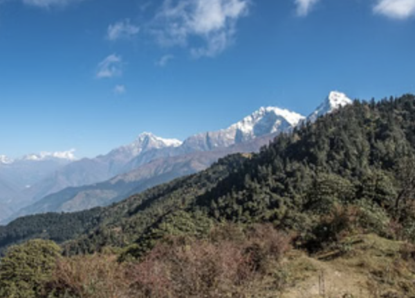 Mohare Danda Community Trek – Eco Lodges & Annapurna Views, photo 5