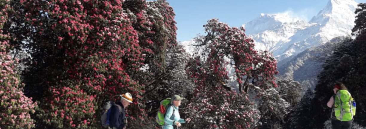 Annapurna Base Camp Trek – 16 Day Sanctuary Route via Poon Hill, photo 3