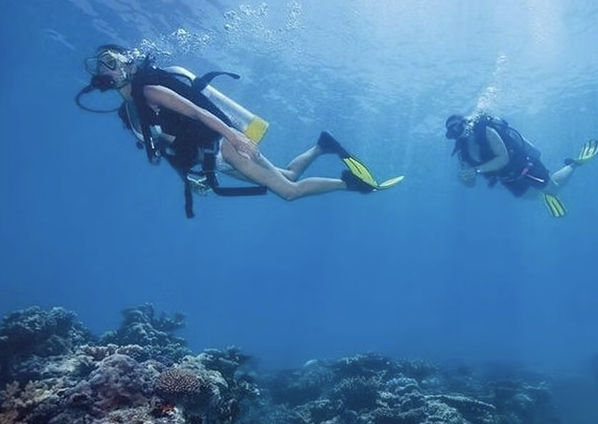 Beginner Scuba Diving Tour in Kuşadası Bays gallery 3