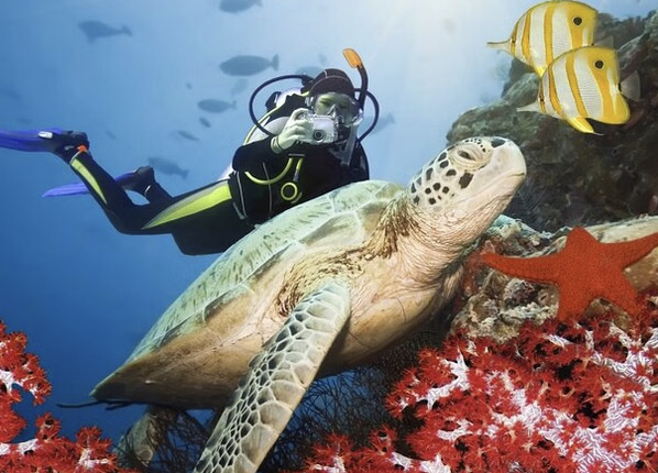 Beginner Scuba Diving Tour in Kuşadası Bays, photo 5